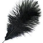 O.D Plumes 14-16 Inch Black
