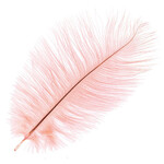 O.D Plumes 14-16 Inch Coral