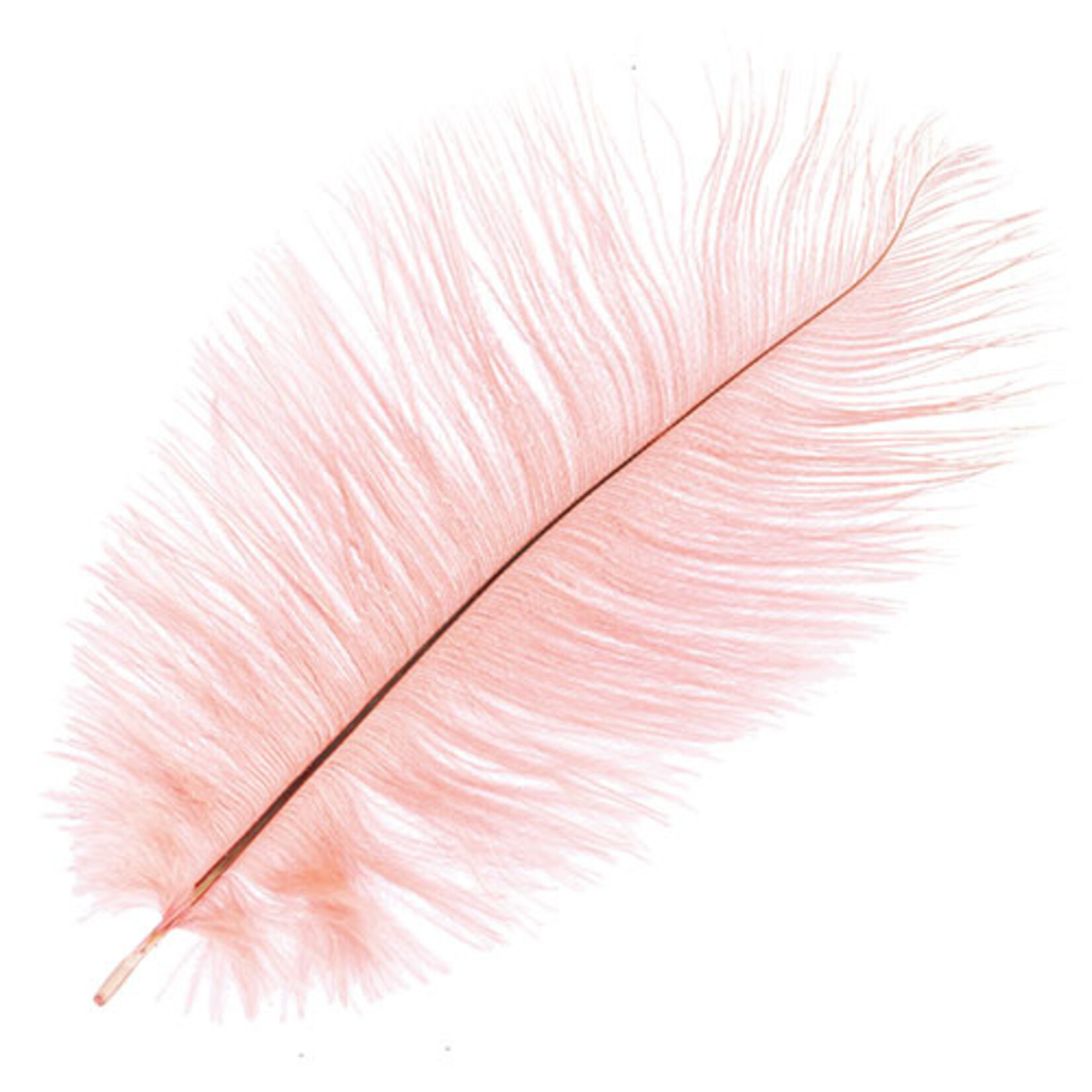 O.D Plumes 14-16 Inch Coral