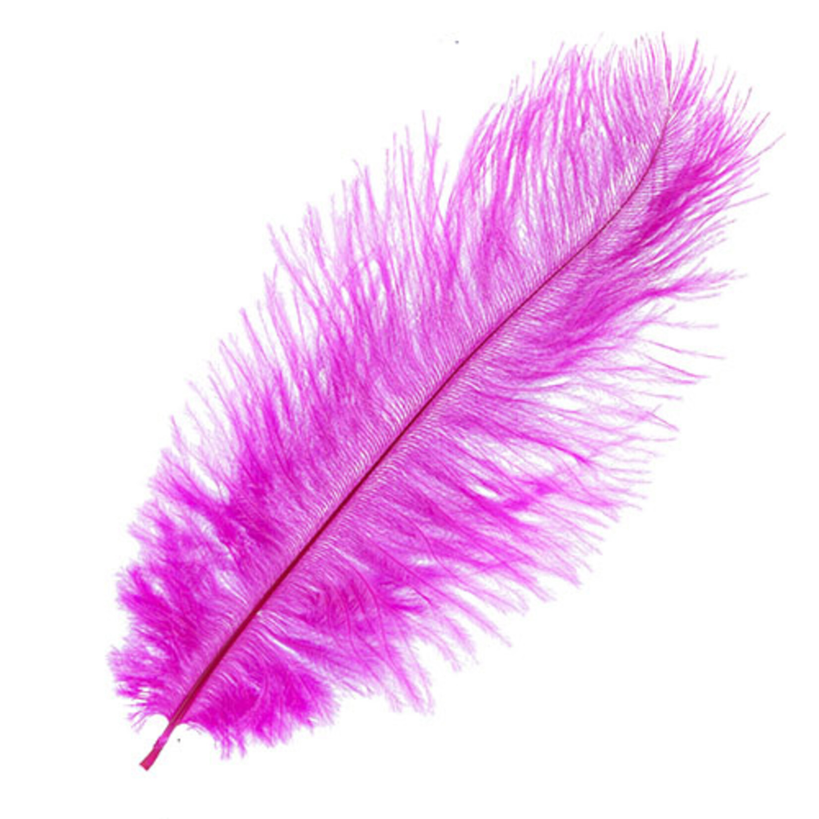 O.D Plumes 14-16 Inch Fuchsia