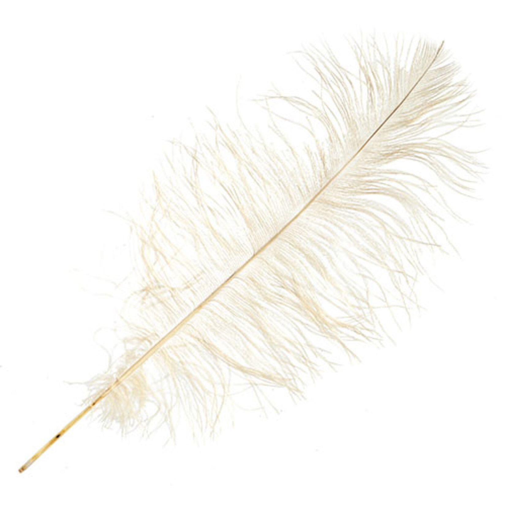O.D Plumes 14-16 Inch Beige