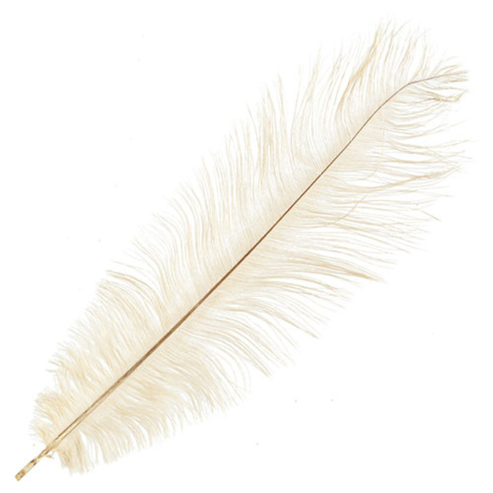 O.D Plumes 11-13 Inch Beige