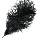 O.D Plumes 11-13 Inch  Black