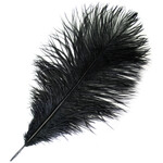 O.D Plumes 11-13 Inch  Black