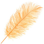 O.D Plumes 11-13 Inch Copper