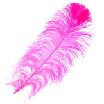 O.D Plumes 11-13 Hot Pink