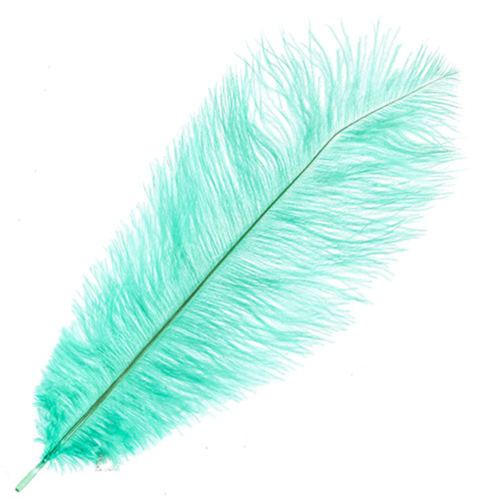 O.D Plumes 11-13 Inch  Jade