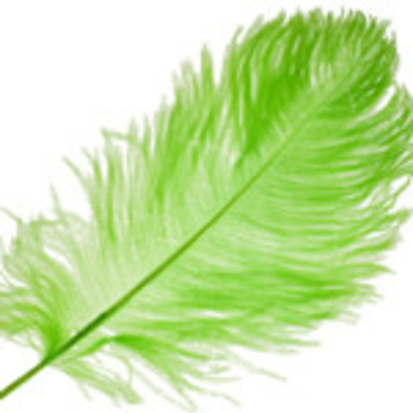 O.D Plumes 11-13 Inch Lime Green