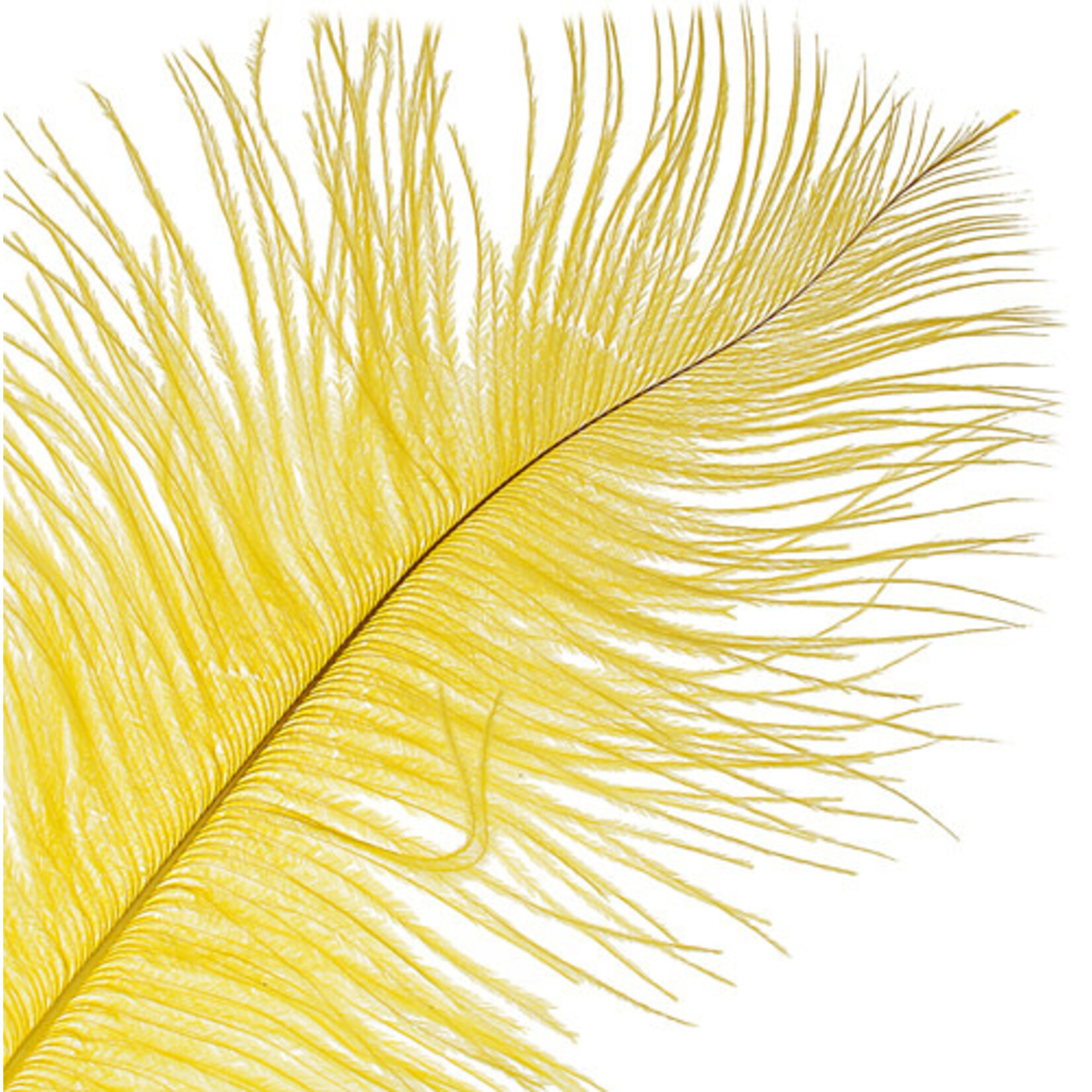 O.D Plumes 11-13 Inch Canary Yellow