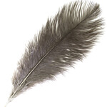 O.D Plumes 11-13 Natural