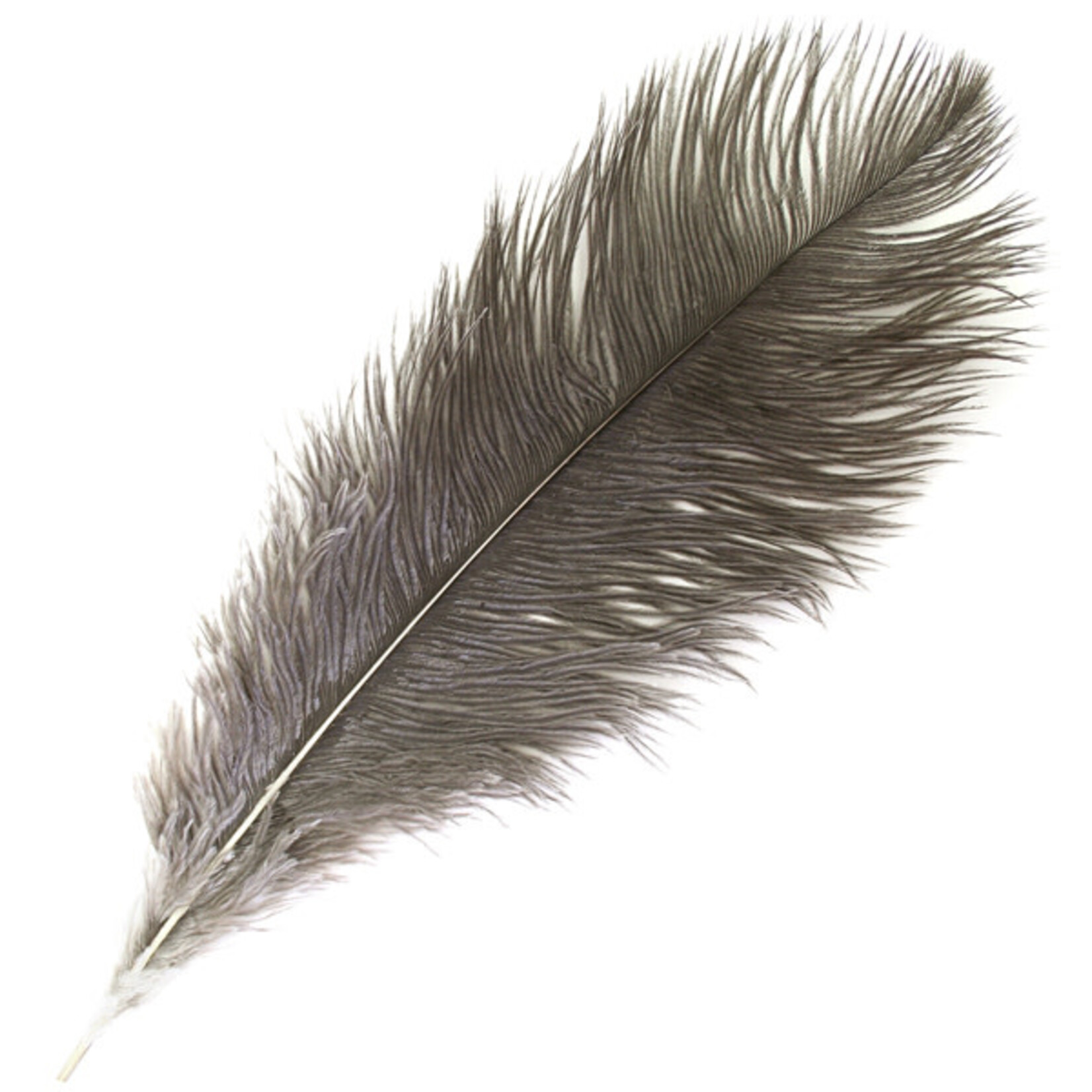 O.D Plumes 11-13 Natural
