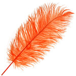 O.D Plumes 11-13 Inch Orange