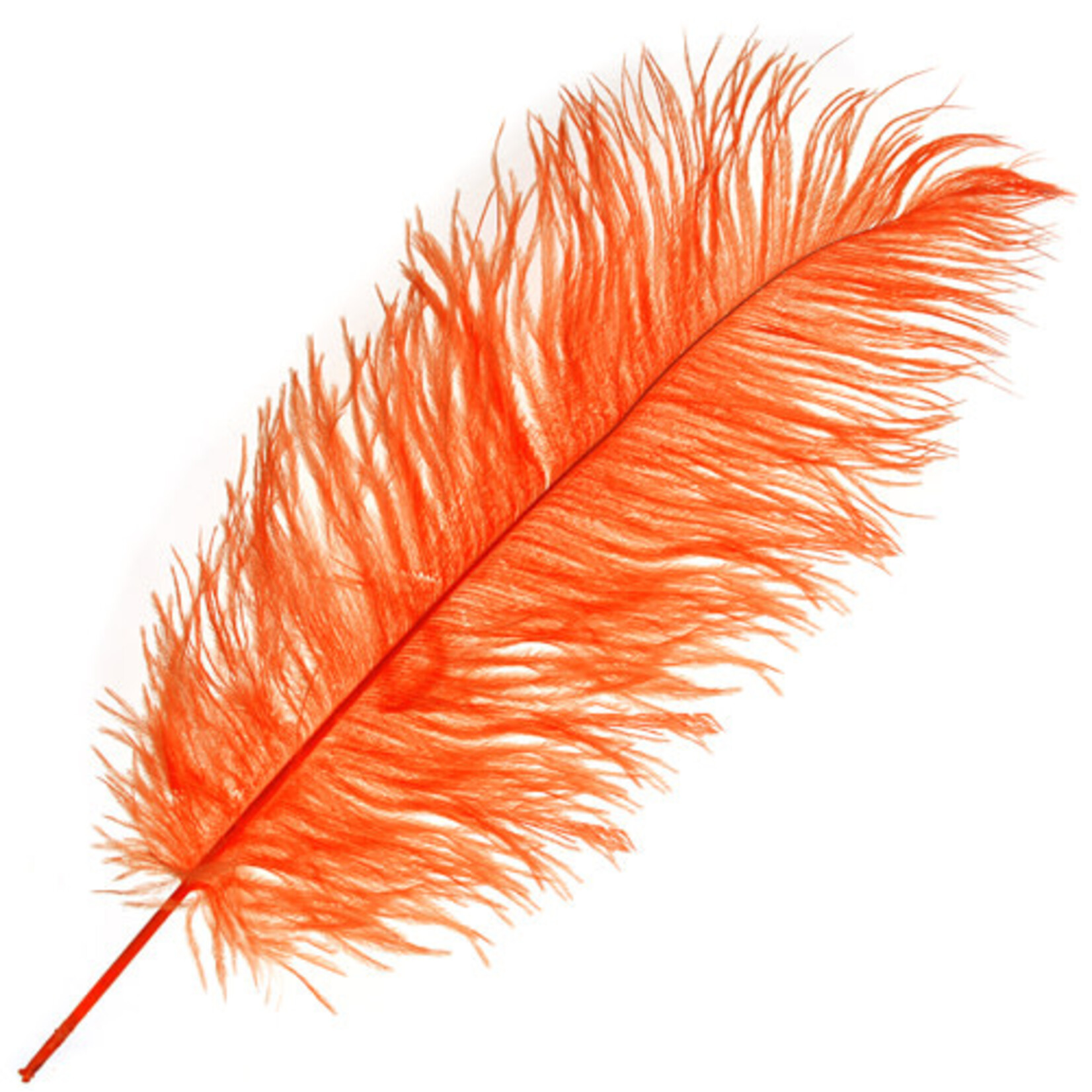 O.D Plumes 11-13 Inch Orange