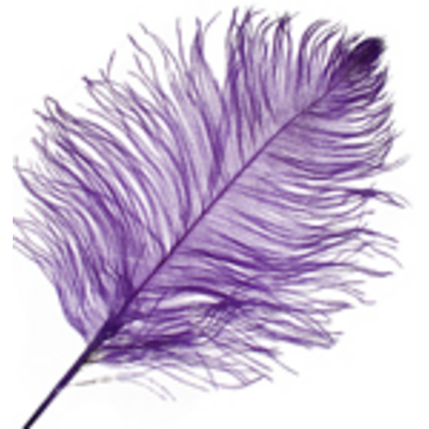 O.D Plumes 11-13 Inch Purple