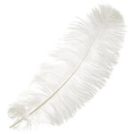 O.D Plumes 11-13 Inch White