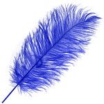 O.D Plumes 11-13 Inch Royal Blue