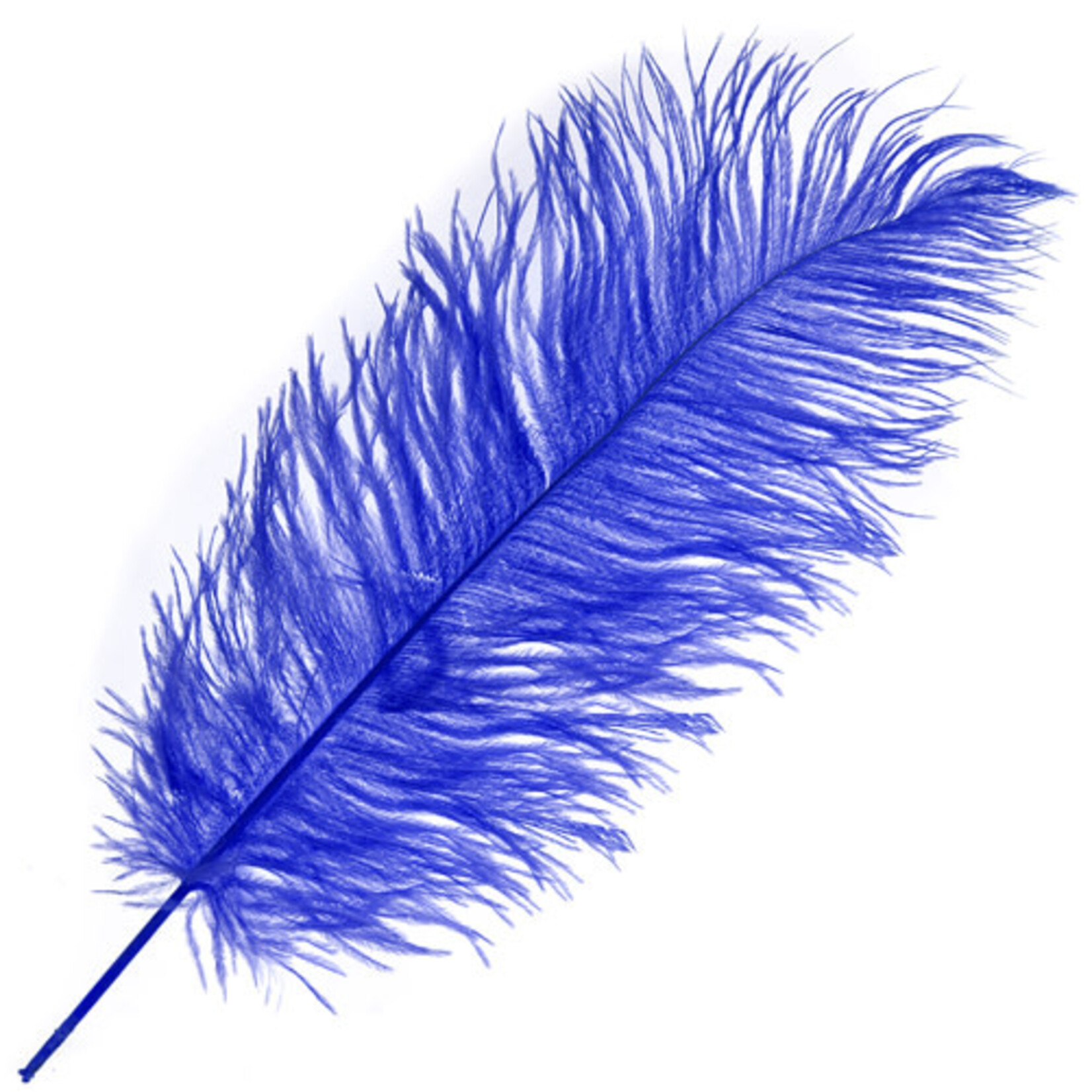 O.D Plumes 11-13 Inch Royal Blue