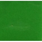 Nylon Suedette 54-60 Inches Apple Green