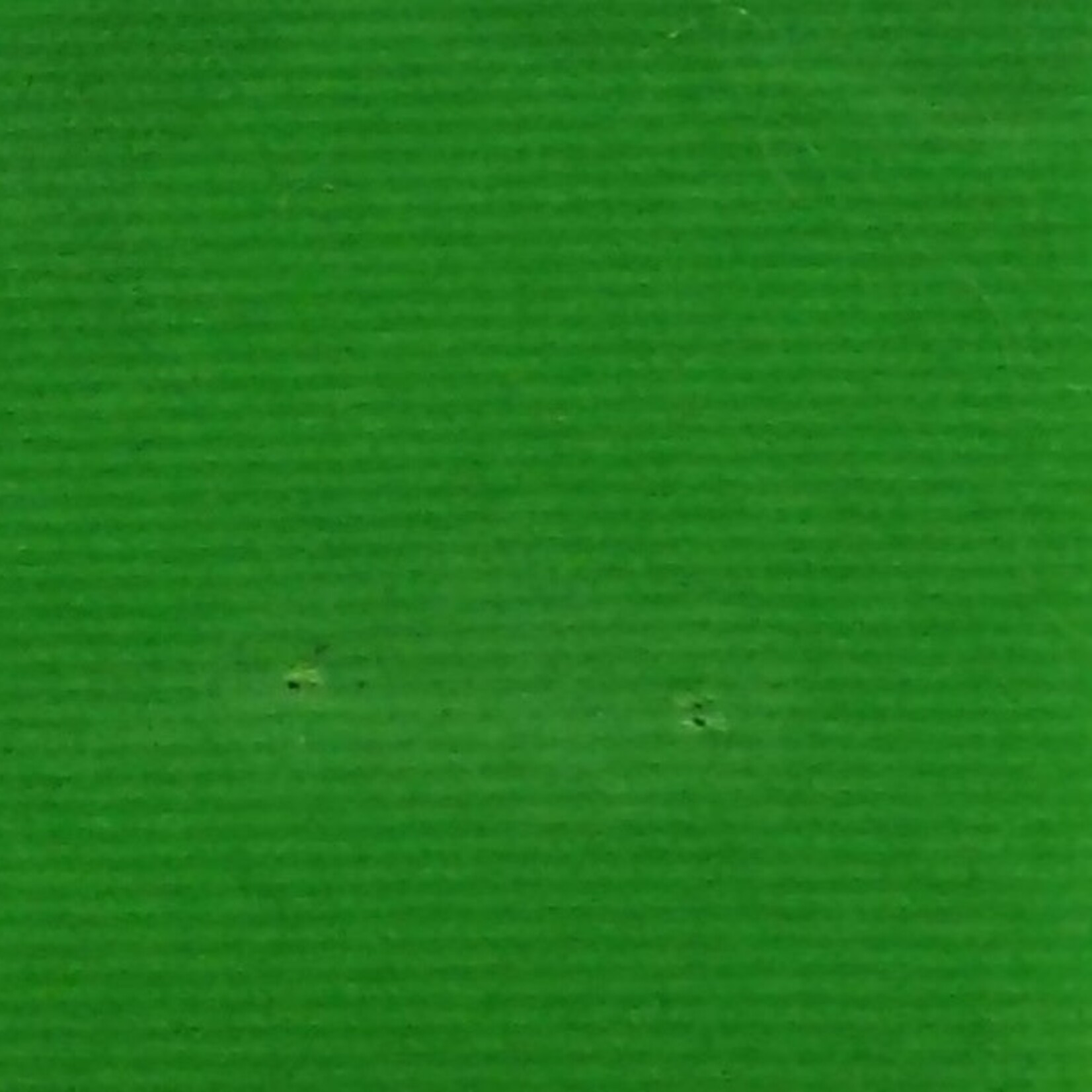 Nylon Suedette 54-60 Inches Apple Green
