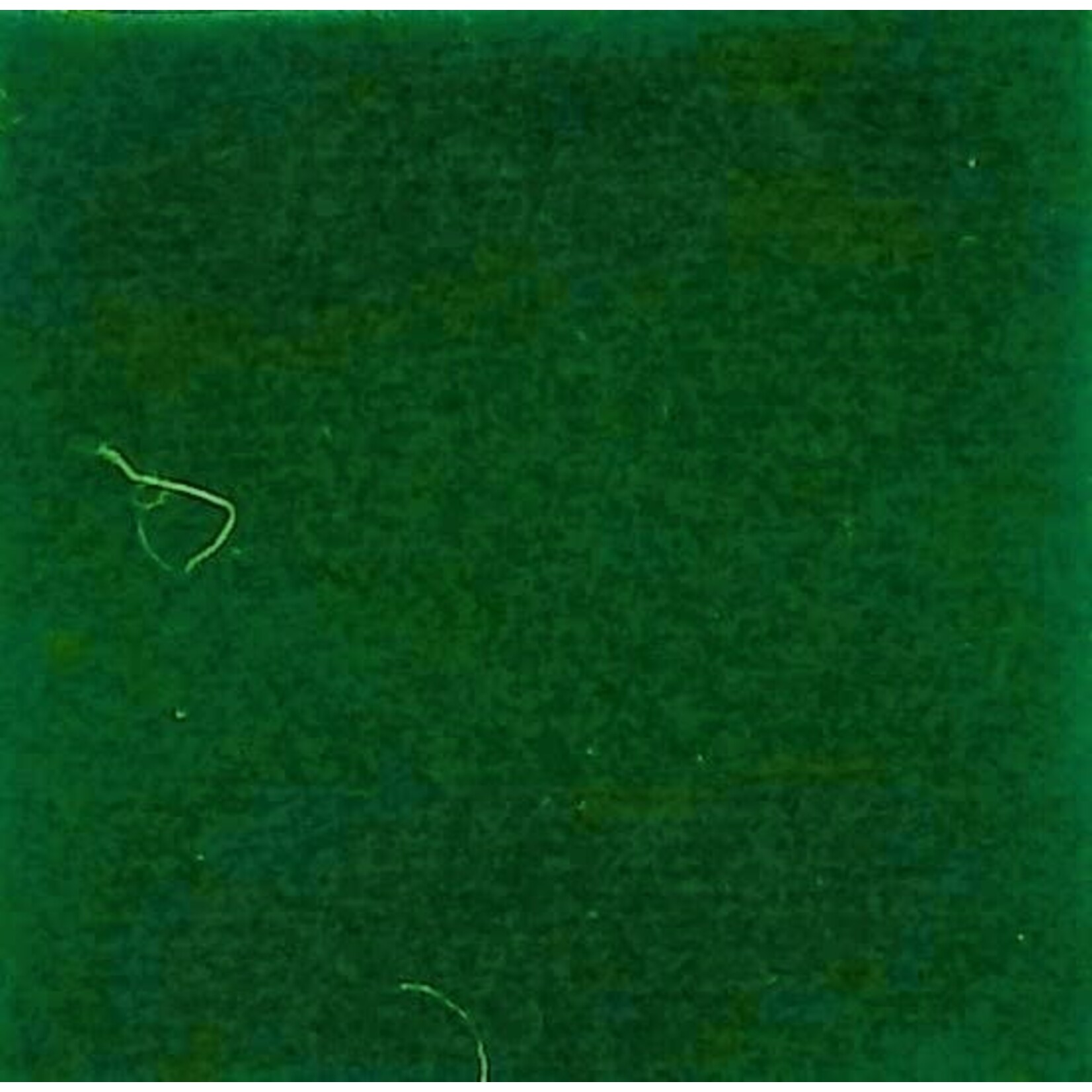 Nylon Suedette 54-60 Inches Emerald Green