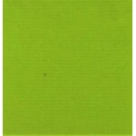 Nylon Suedette 54-60 Inches Lime Green