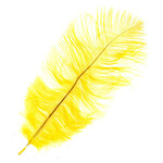 Ostrich Drab Plumes 6-8 Inch (12 pieces)