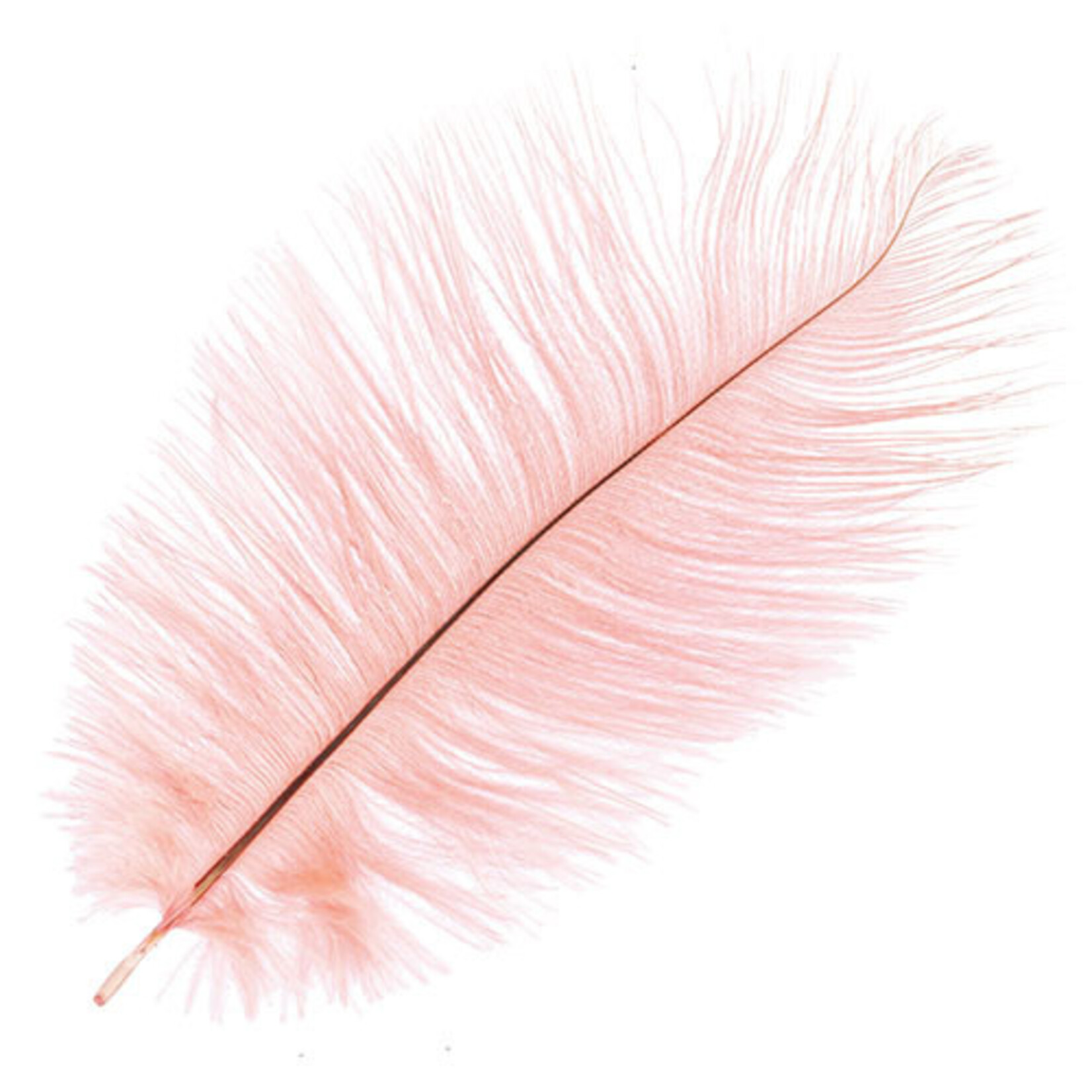 Ostrich Drab Plumes 6-8 Inch (12 pieces)