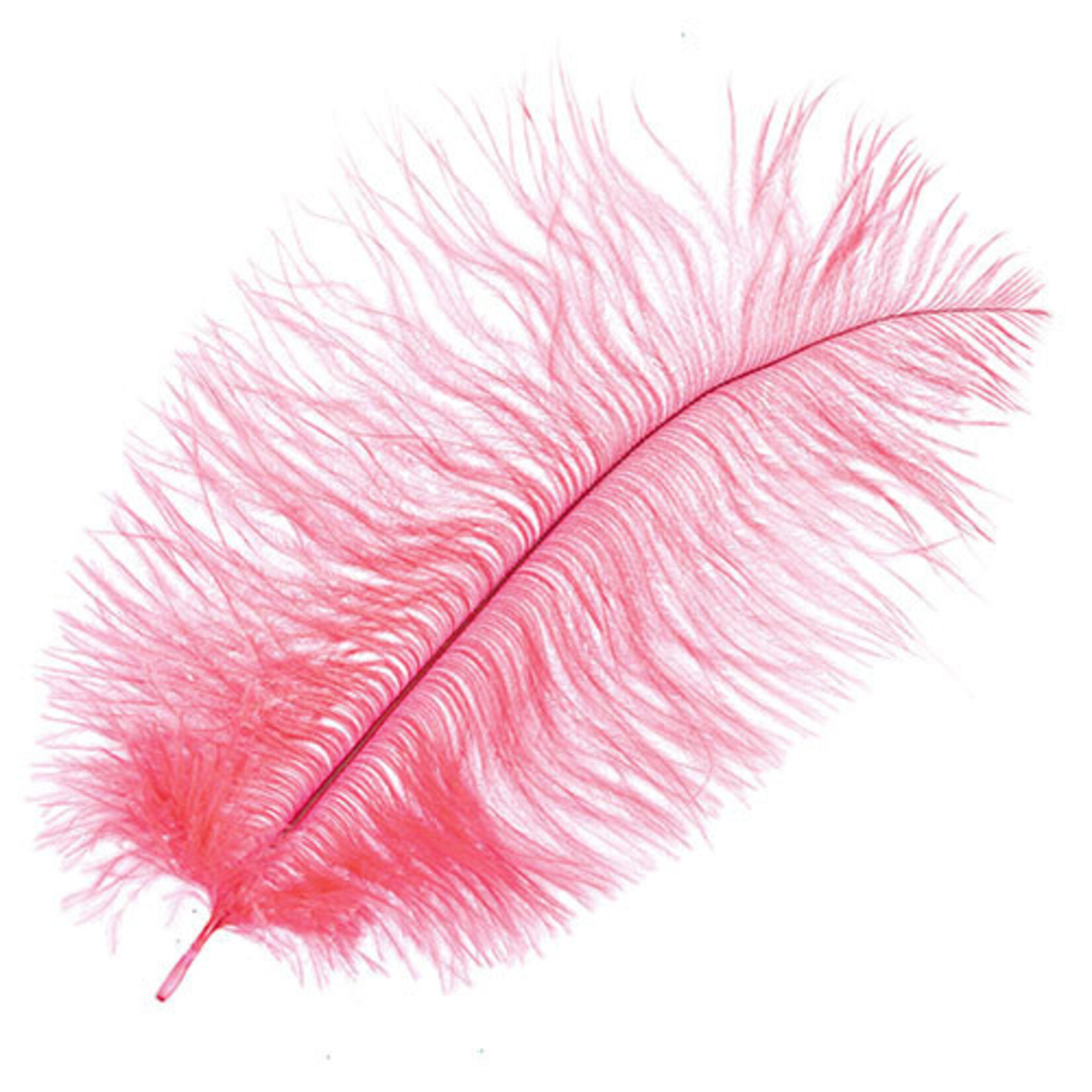 Ostrich Drab Plumes 6-8 Inch (12 pieces)