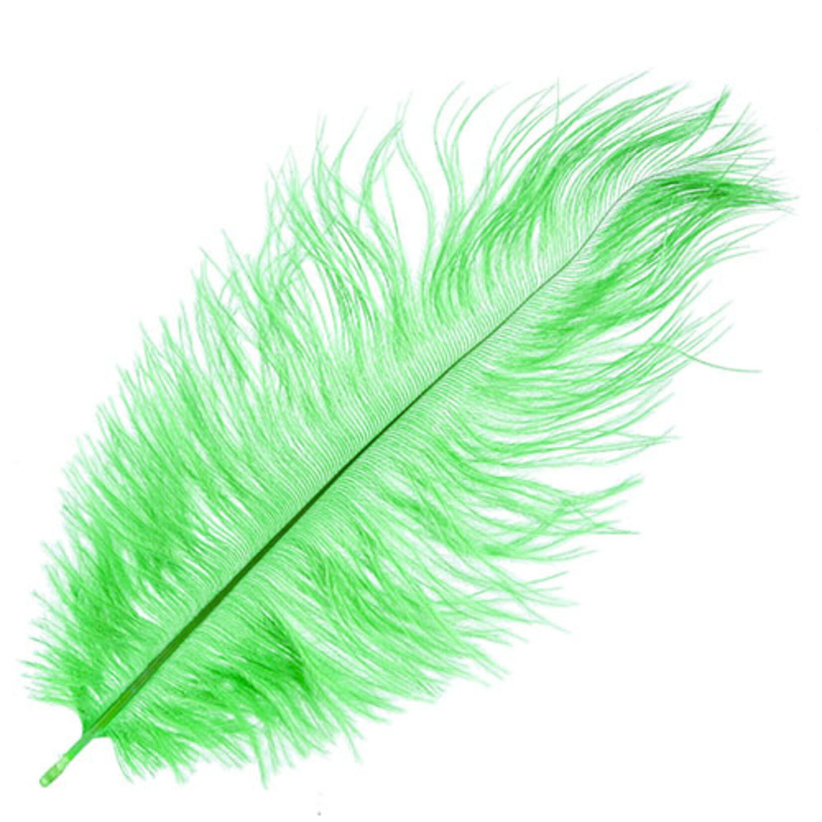 Ostrich Drab Plumes 6-8 Inch (12 pieces)