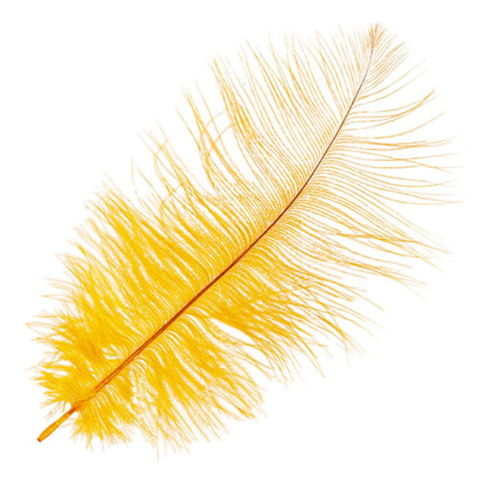 Ostrich Drab Plumes 6-8 Inch (12 pieces)