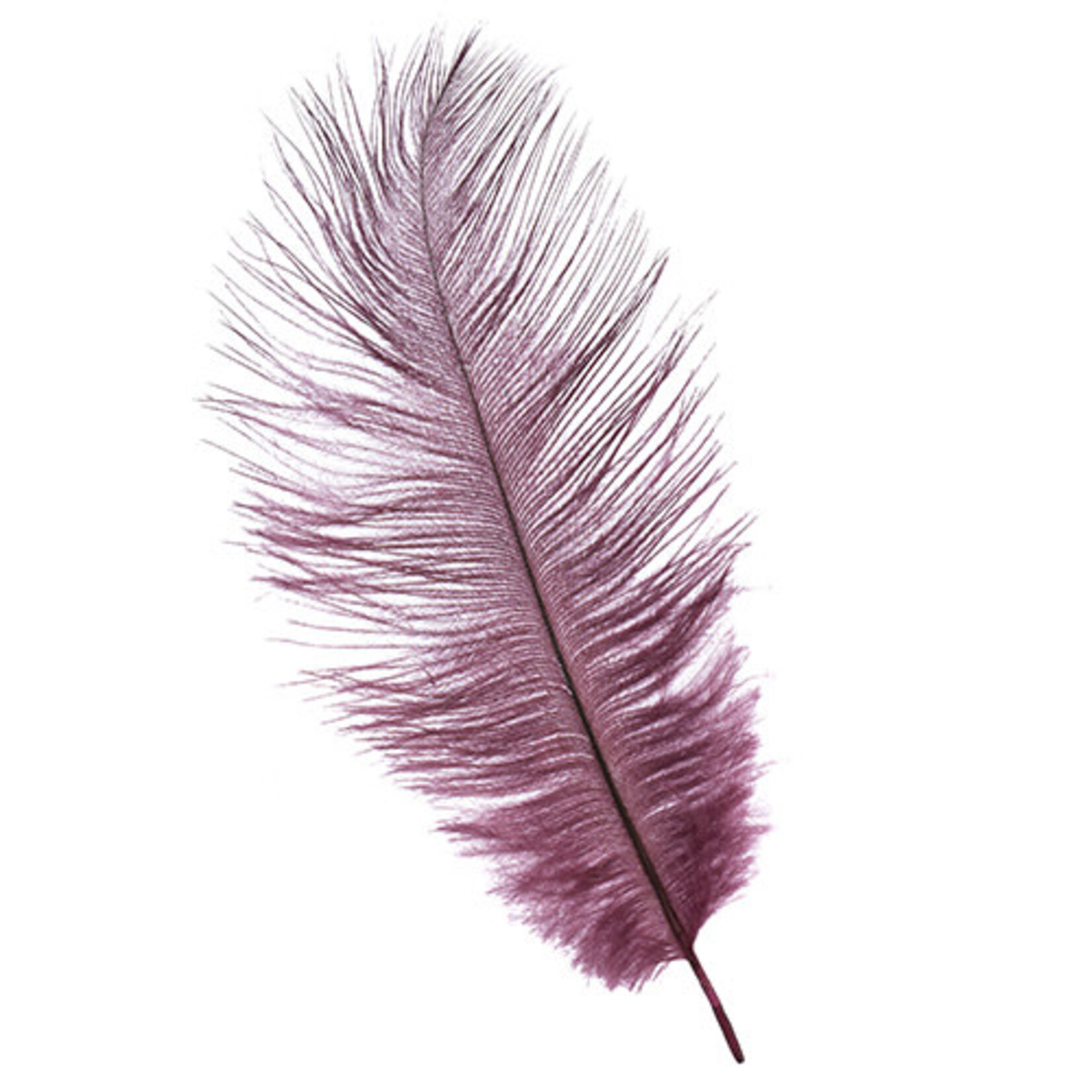 Ostrich Drab Plumes 6-8 Inch (12 pieces)