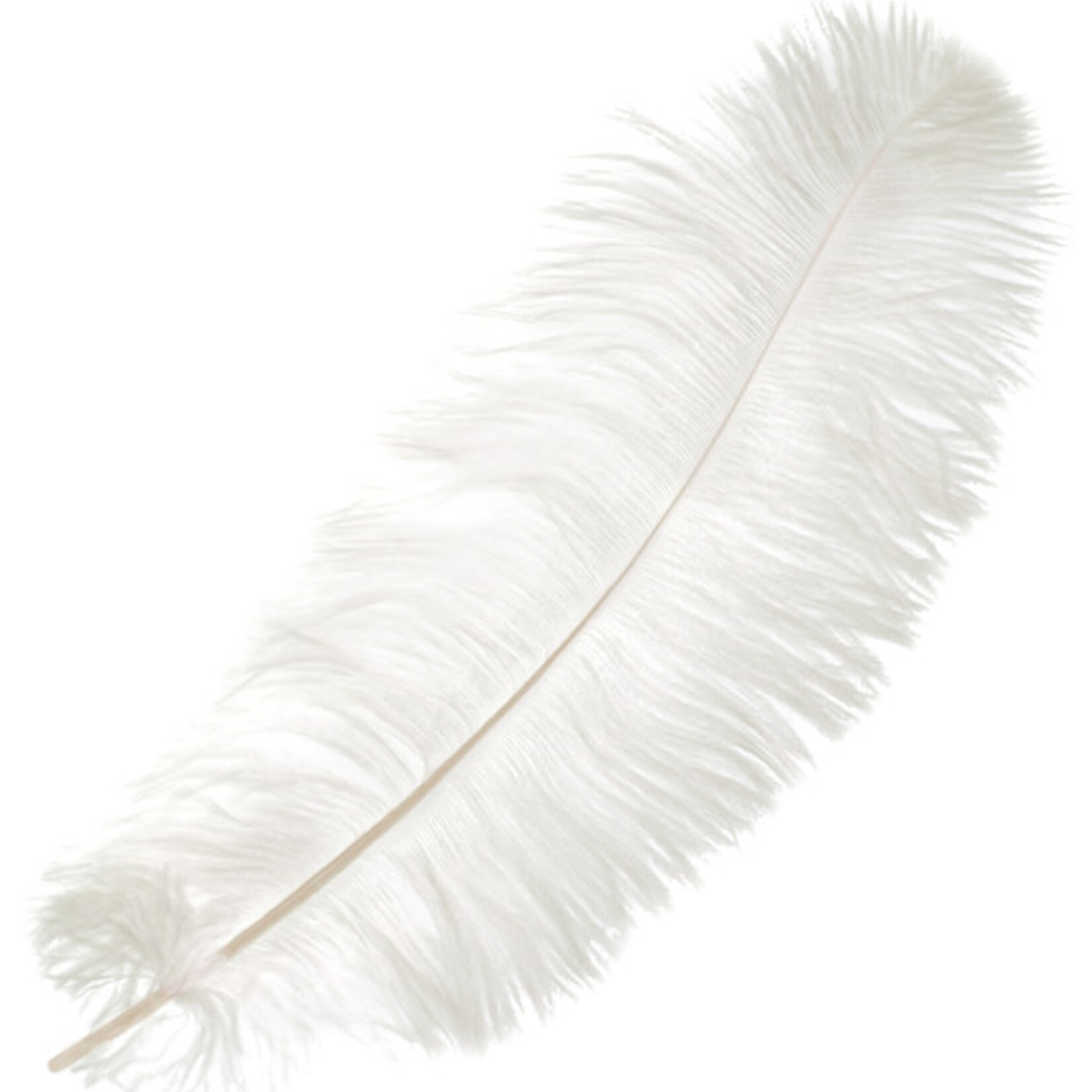 Ostrich Drab Plumes 6-8 Inch (12 pieces)  Red/White/Black