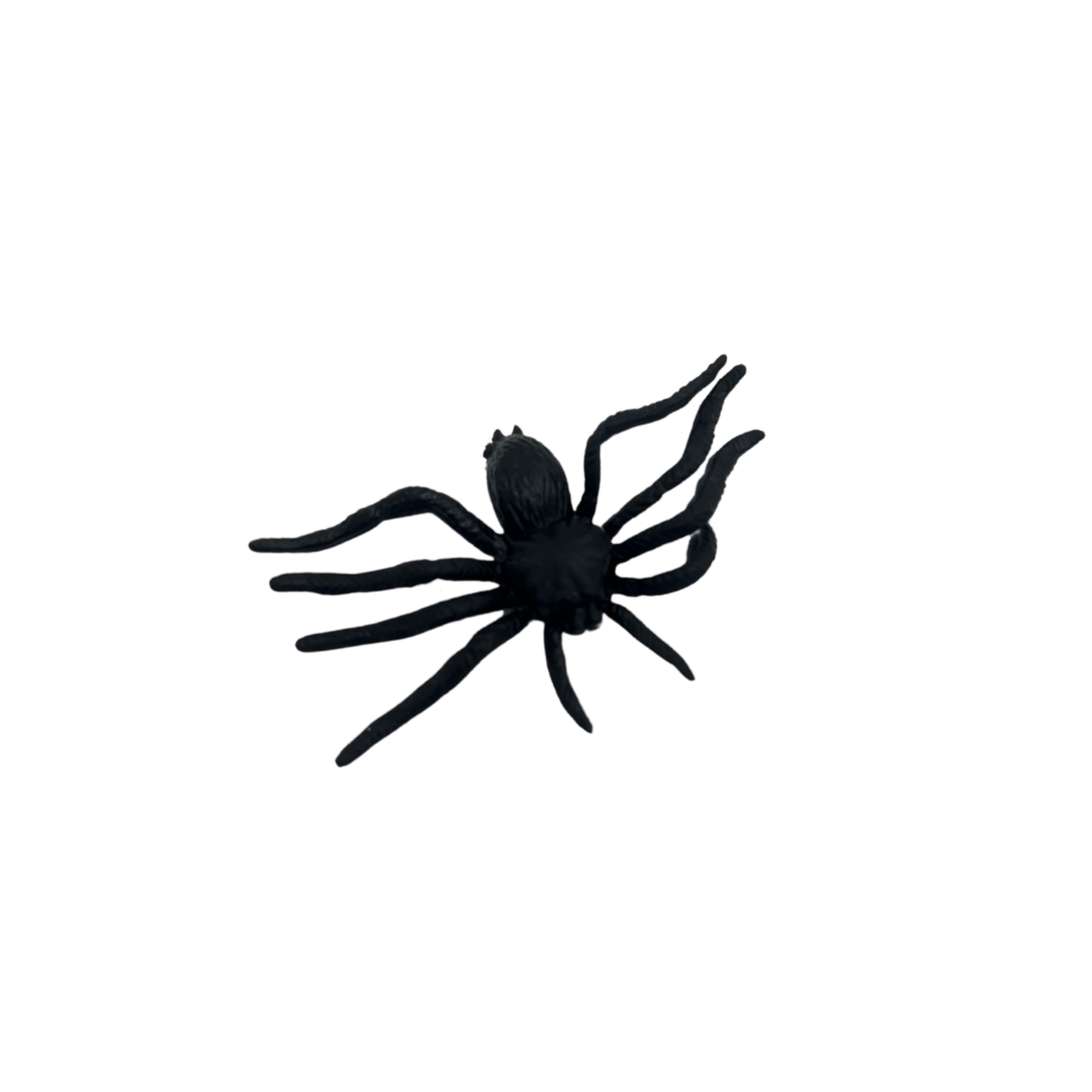 Halloween Animals Spider Black 12pcs