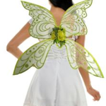 Fairy Wings Lime Green