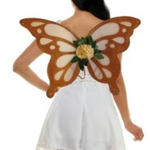 Butterfly Wings Brown