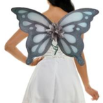 Butterfly Wings Grey
