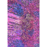 Fuchsia Pattern Ombre Holographic Spandex #1