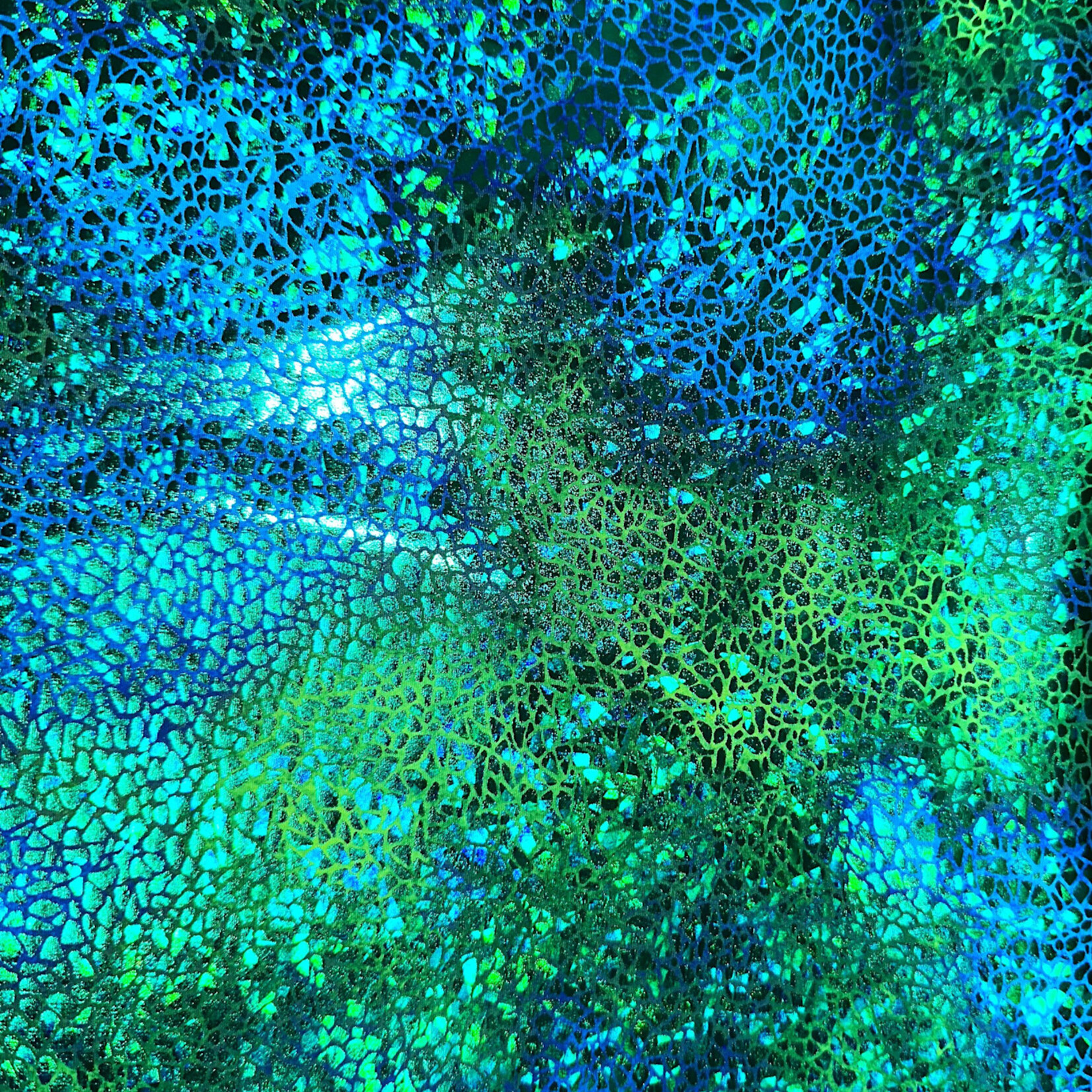 Green Pattern Ombre Holographic Spandex #6