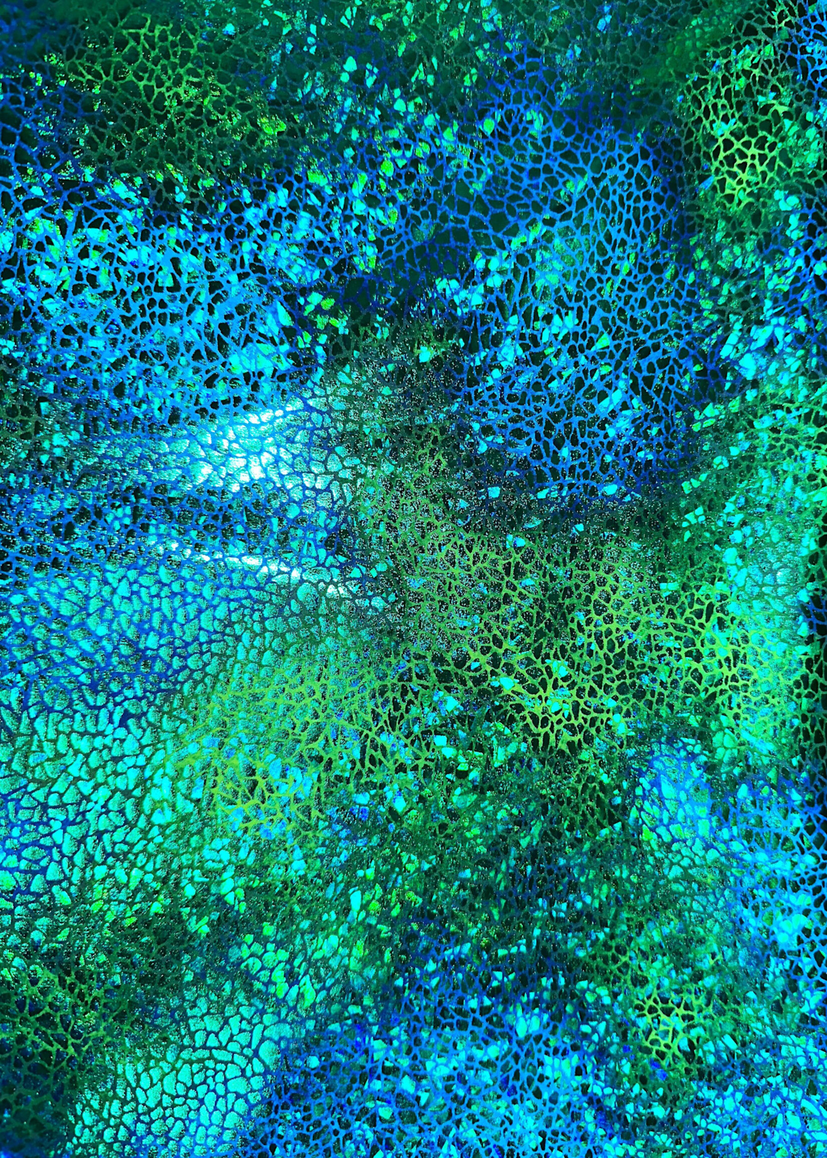Green Pattern Ombre Holographic Spandex #6