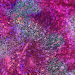 Pink Pattern Ombre Holographic Spandex #7