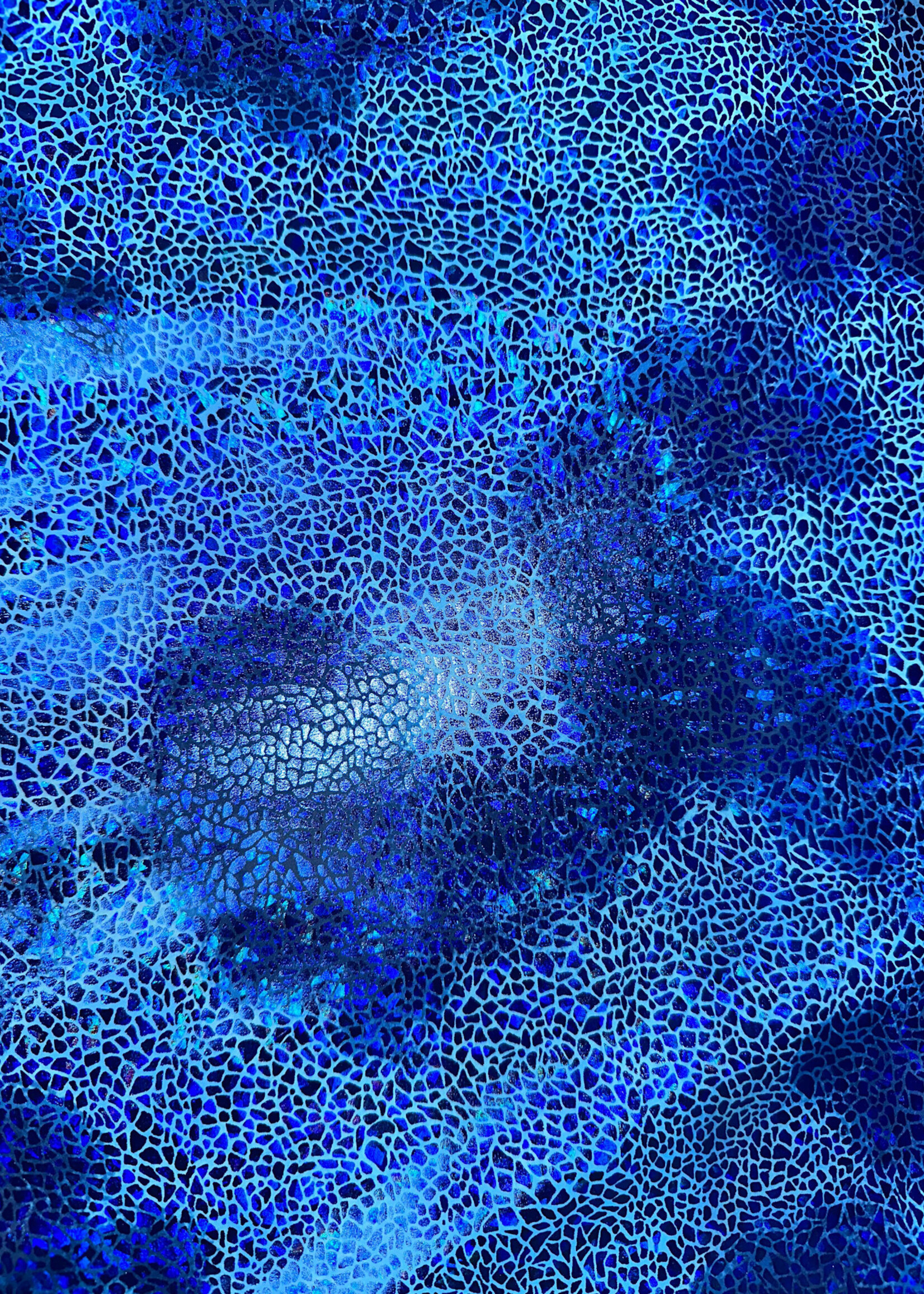 Royal Blue Pattern Ombre Holographic Spandex #5