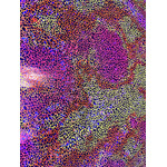 Yellow Pattern Ombre Holographic Spandex #3