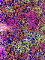 Yellow Pattern Ombre Holographic Spandex #3