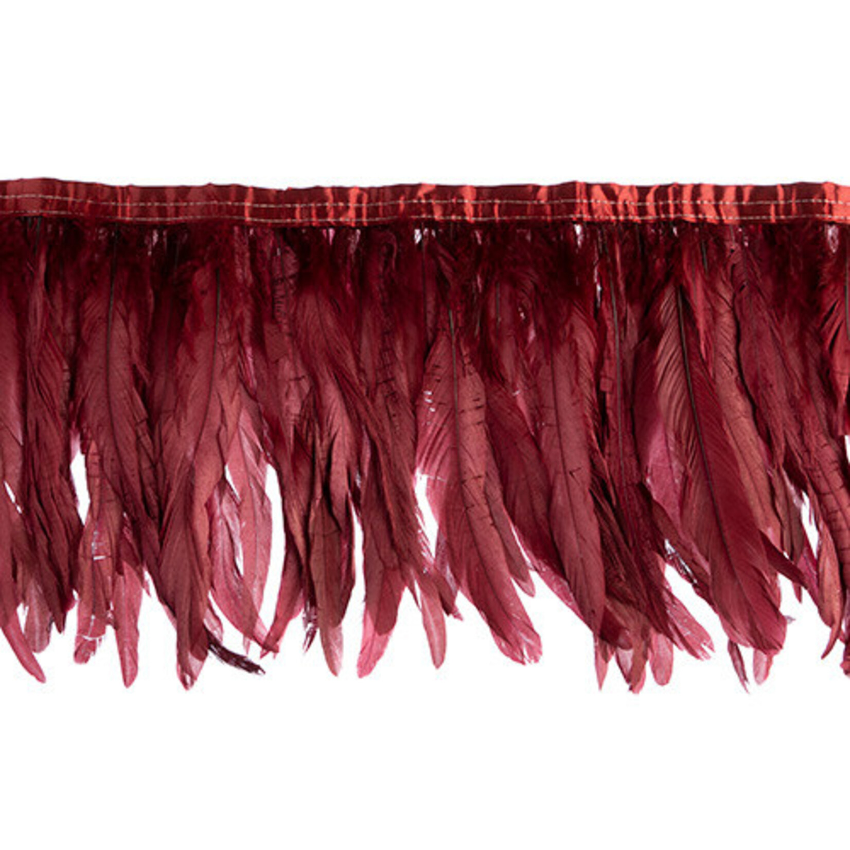Coque Feathers Value 12-14 Inches Burgundy