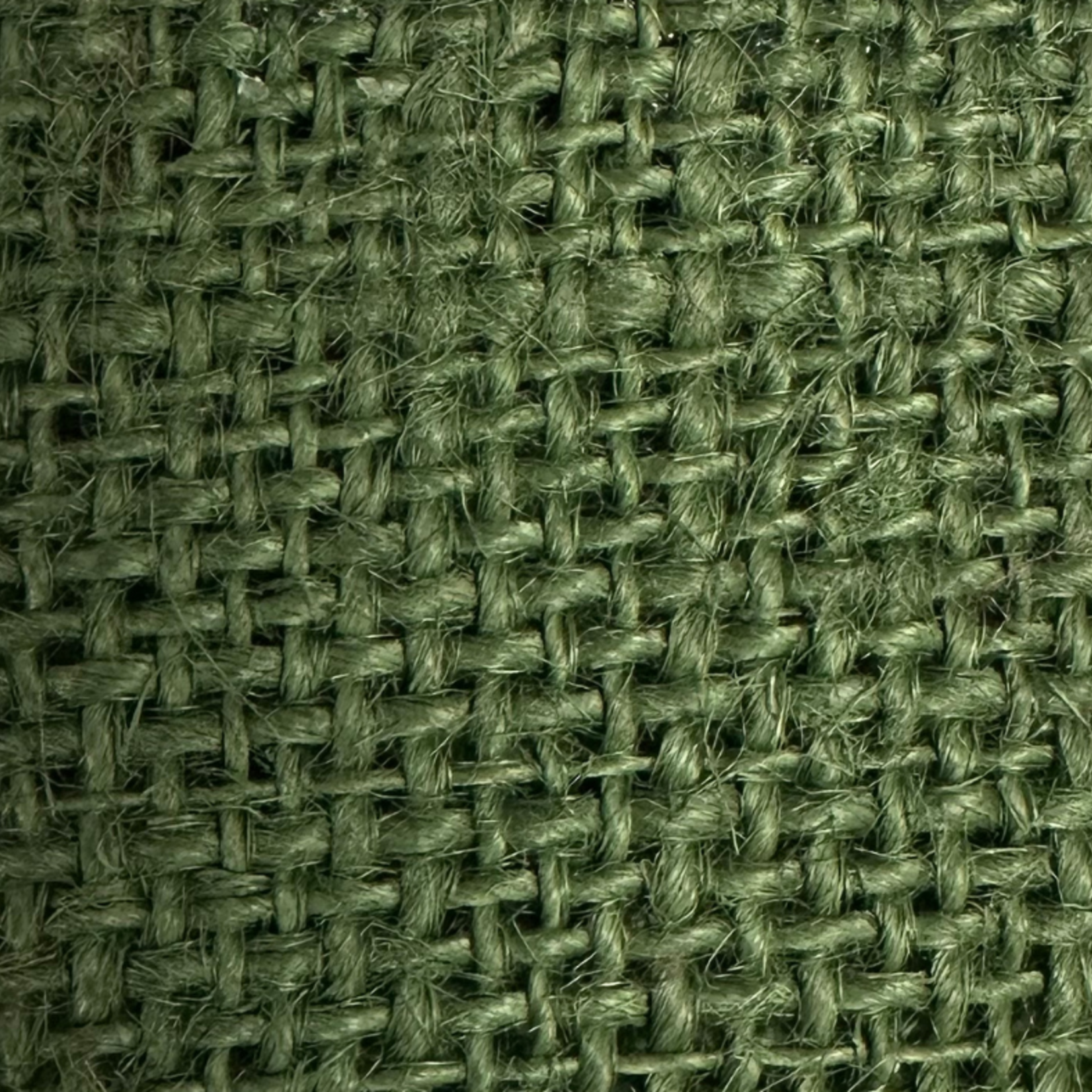 Burlap 54 inches - Sea Green