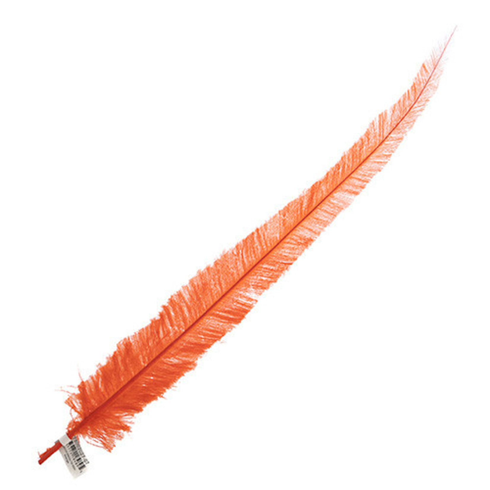 Ostrich Nandu 18-20in (1pc) Orange