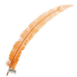 Ostrich Nandu 18-20in (1pc) Pumpkin