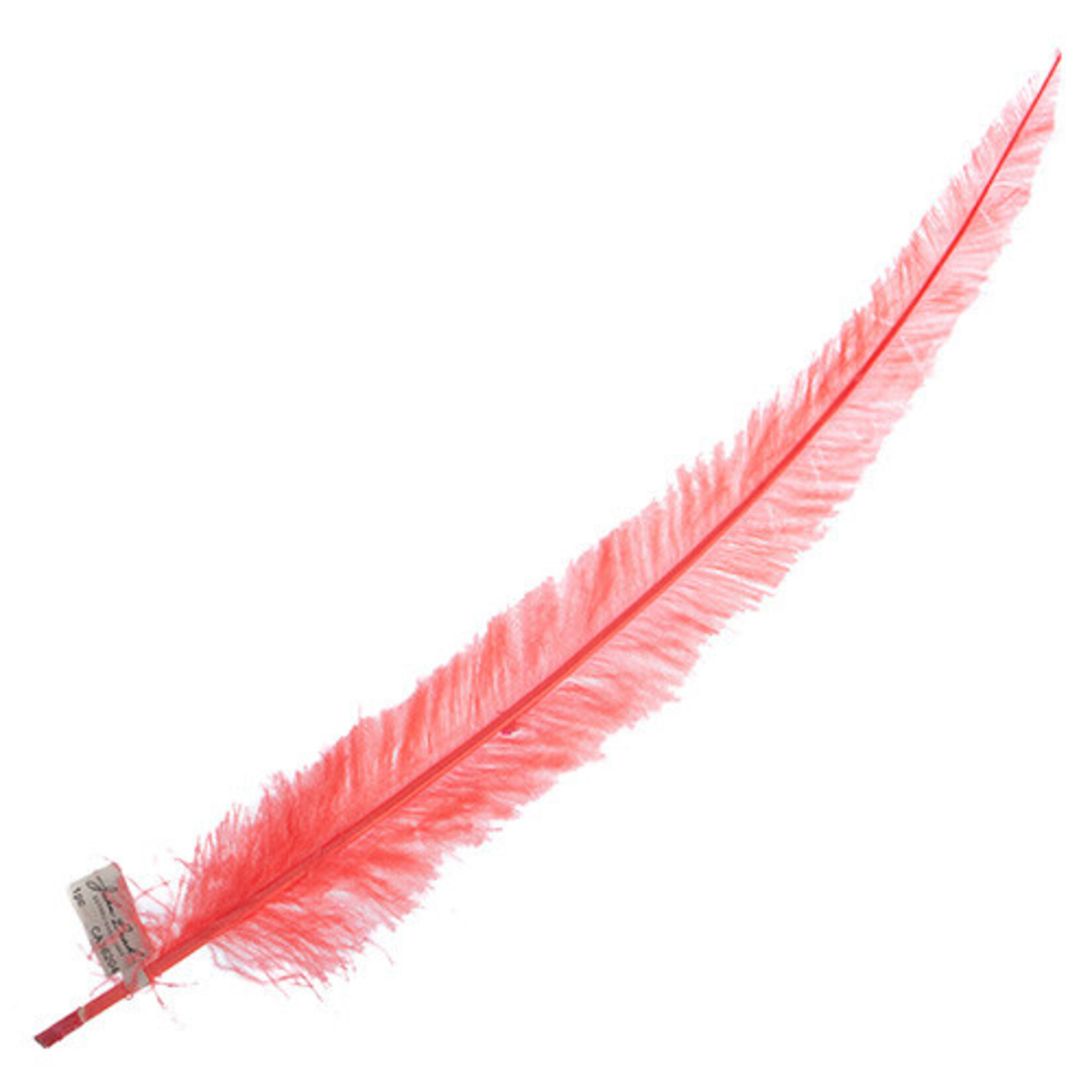 Ostrich Nandu 18-20in (1pc) Coral