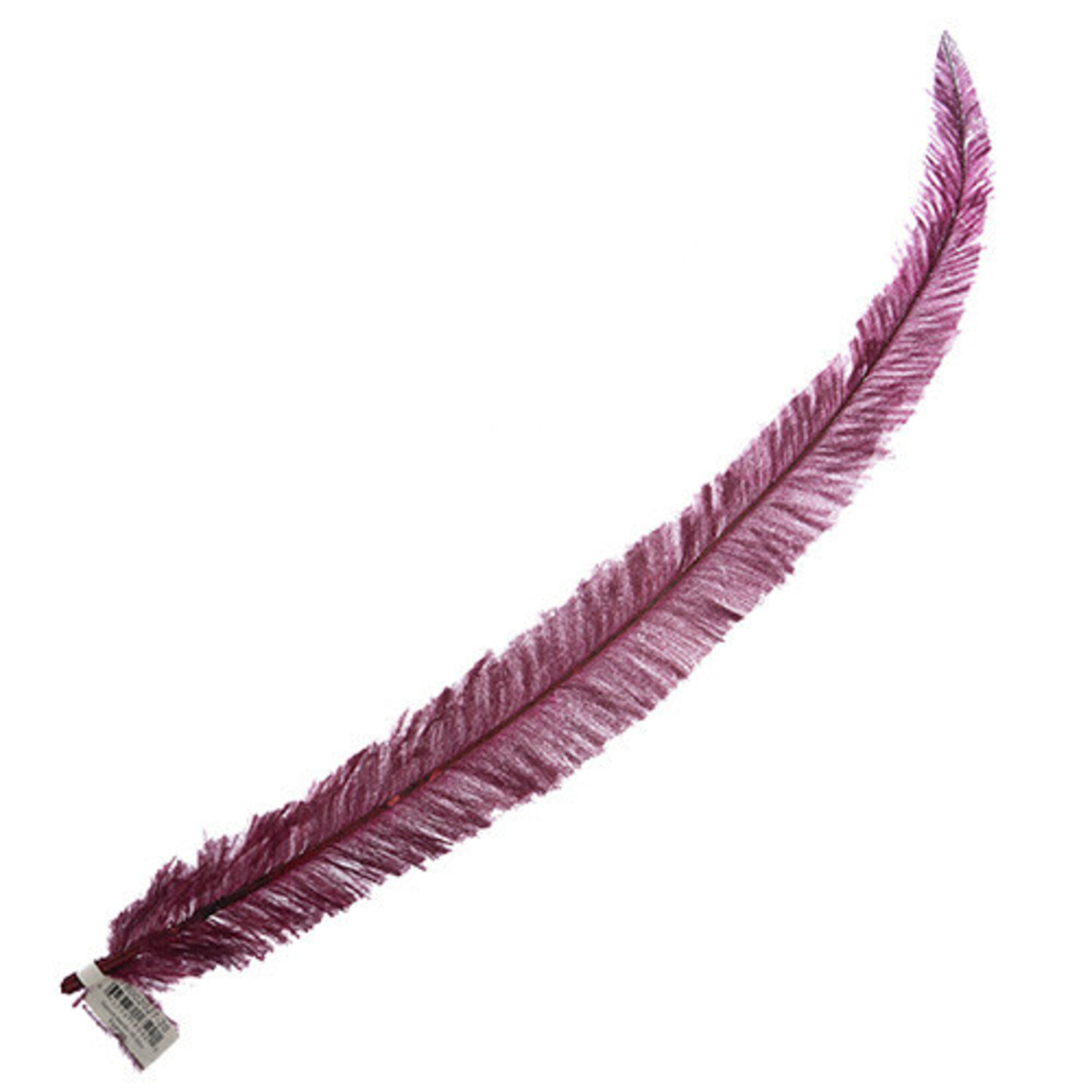 Ostrich Nandu 18-20in (1pc) Eggplant