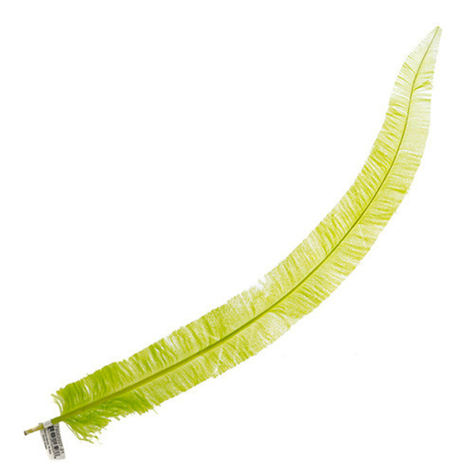 Ostrich Nandu 18-20in (1pc) Grass Green